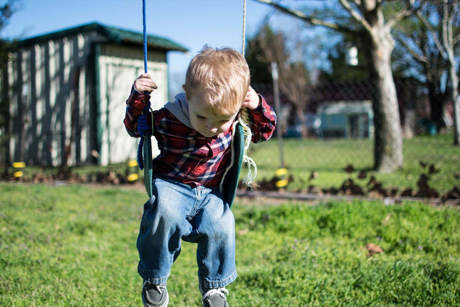 On the Swing -  by Unbound Photography