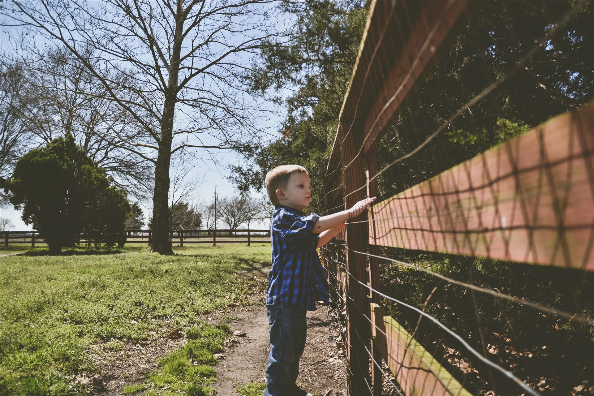 Looking through the fence -  by Unbound Photography